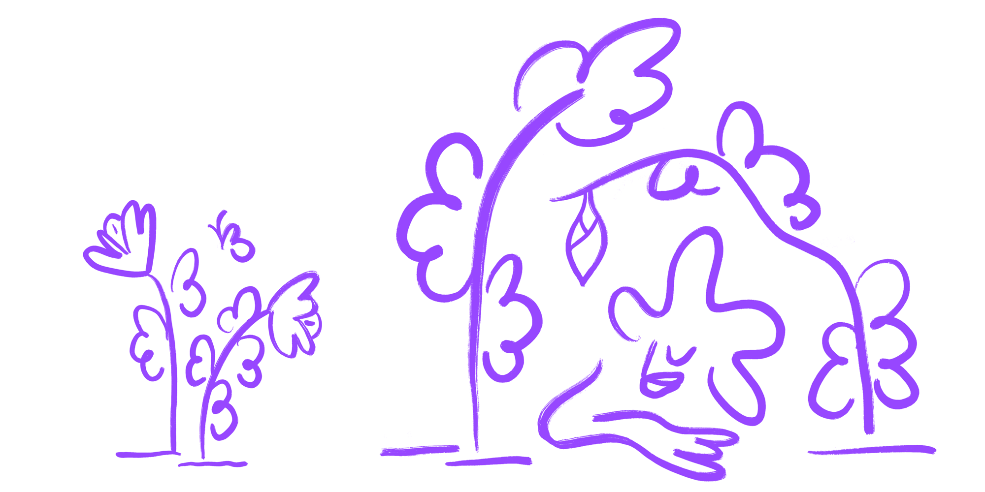 animated illustrations